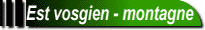 Est.GIF (2513 bytes)